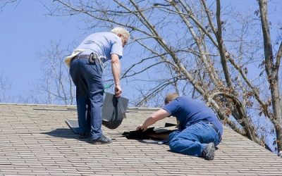 Ultimate Guide to Roof Restoration: From Pressure Cleaning to Full Paint Systems